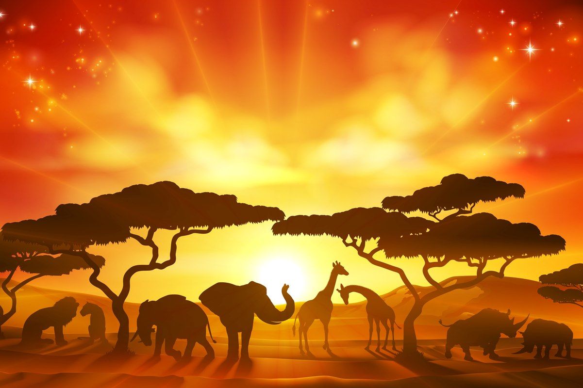 Zwierzęta sawanny: słonie, żyrafy, lwy