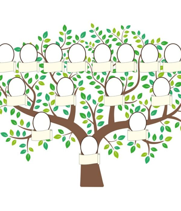 Drzewo genealogiczne z trzema pokoleniami