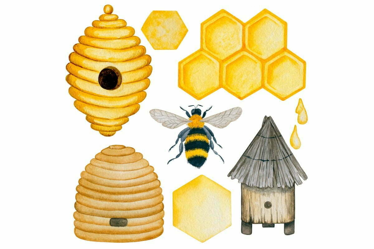 Pszczoła i rożne rodzaje uli i gniazd pszczelich