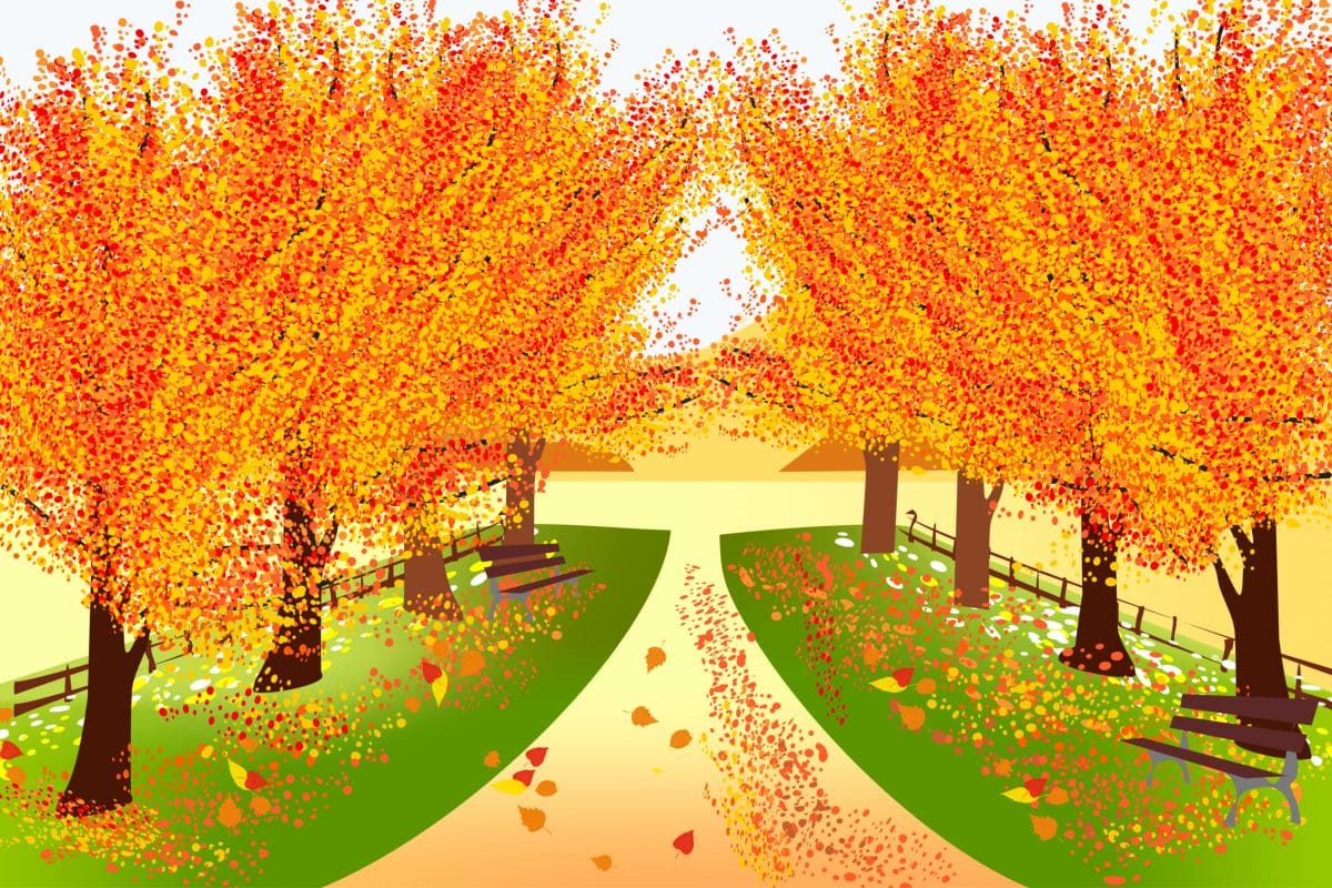 jesienny sad, kolorowe liście na drzewach