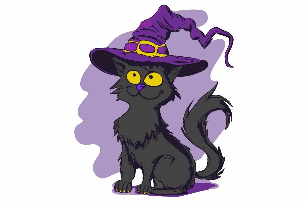 Czarny kot w czapce czarownicy na Halloween