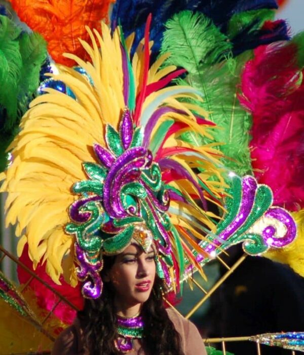 Karnawał w Rio. Kobieta z piuropuszem na głowie