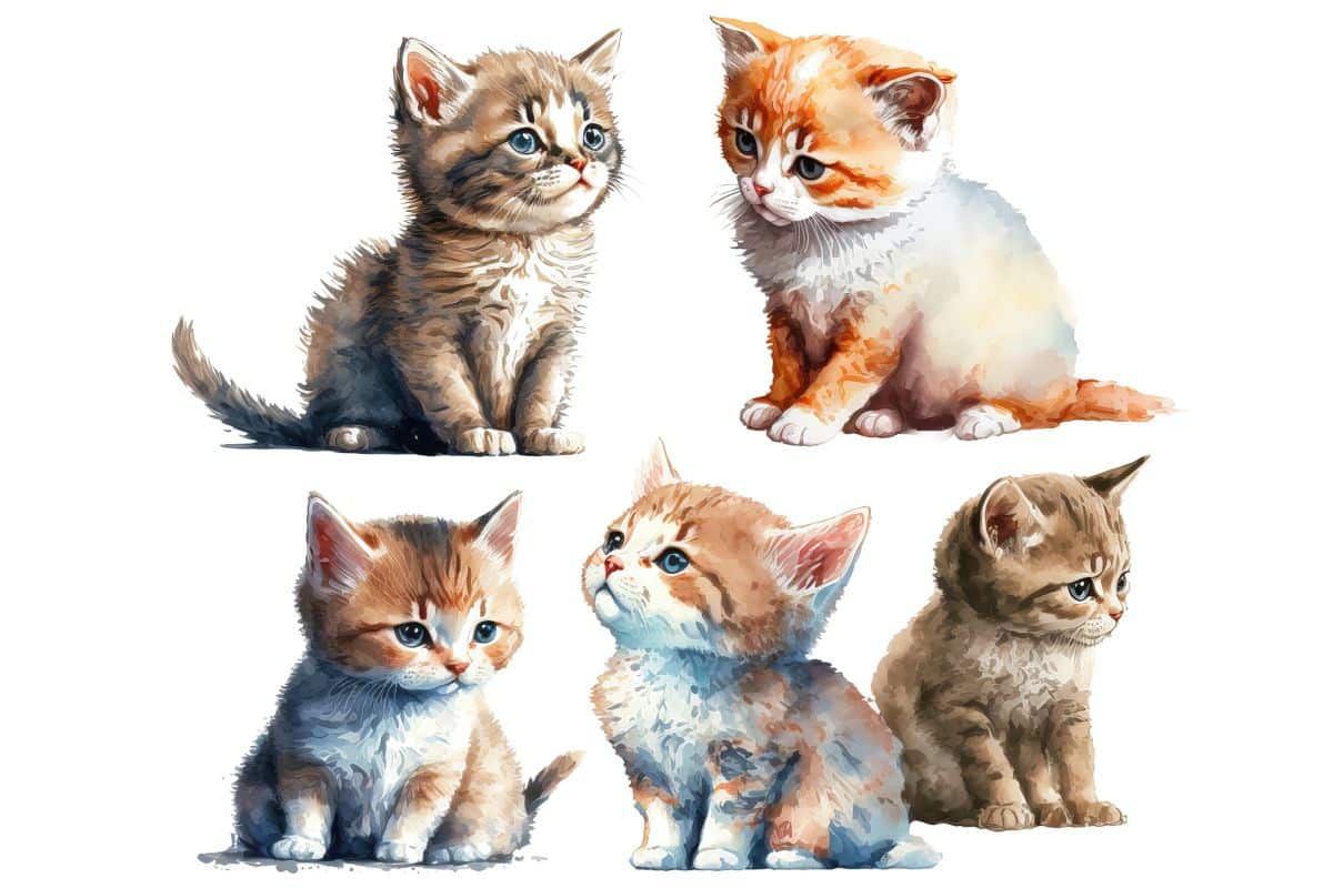 pięć kotów, małe kotki