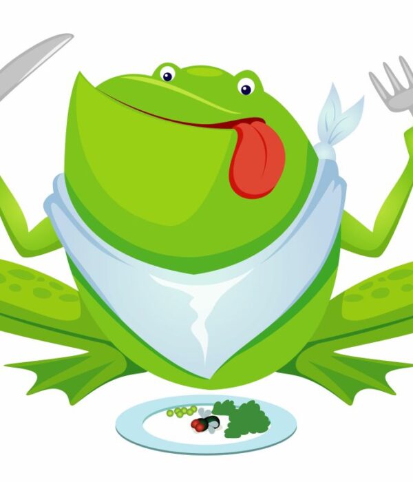 Żaba jedząca posiłek z talerza